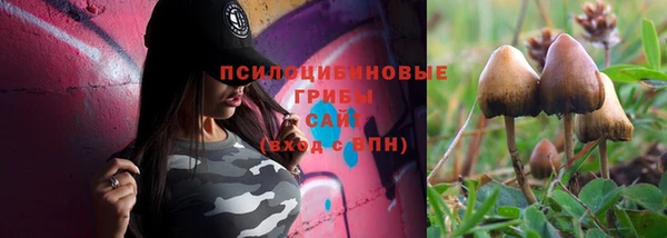 Альфа ПВП Богородск
