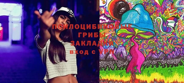 дурь Покачи