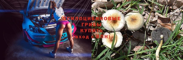 гашик Белоозёрский
