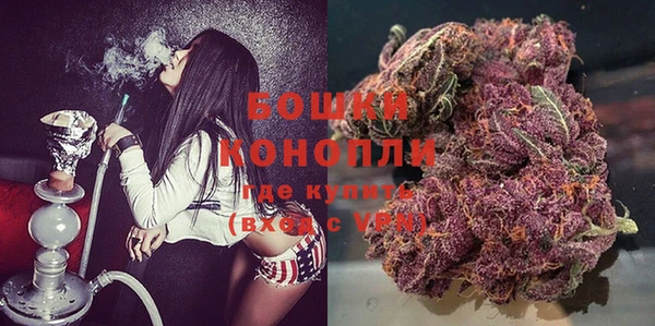 мяу мяу кристалл Богданович